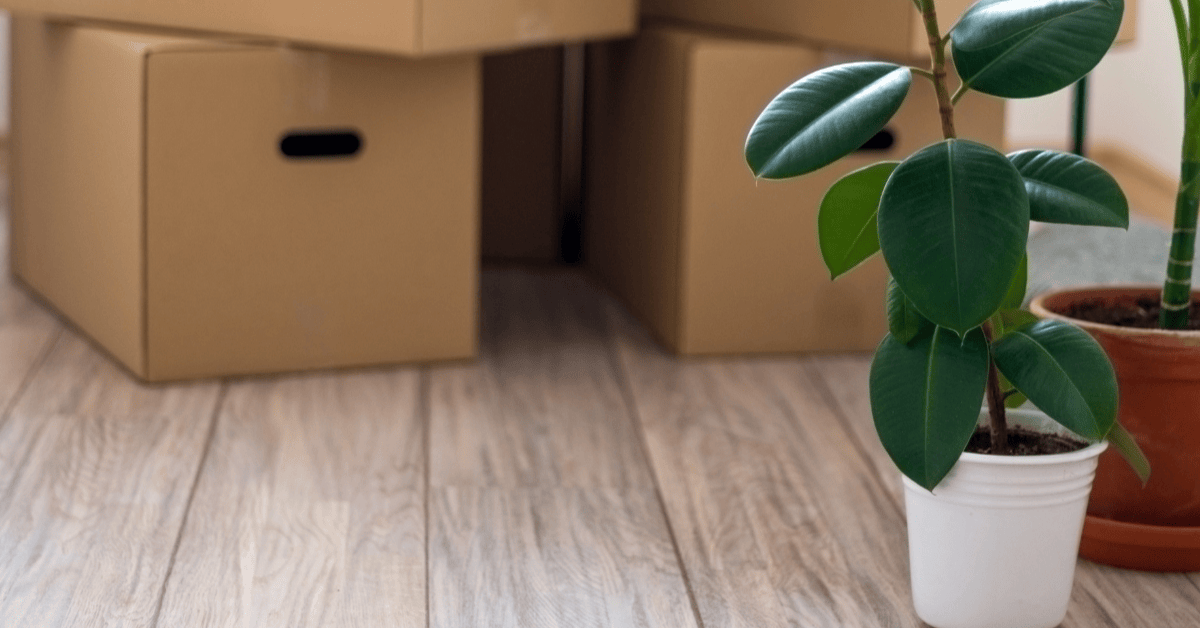 8 Benefits of Hiring a Full-Service Moving Company