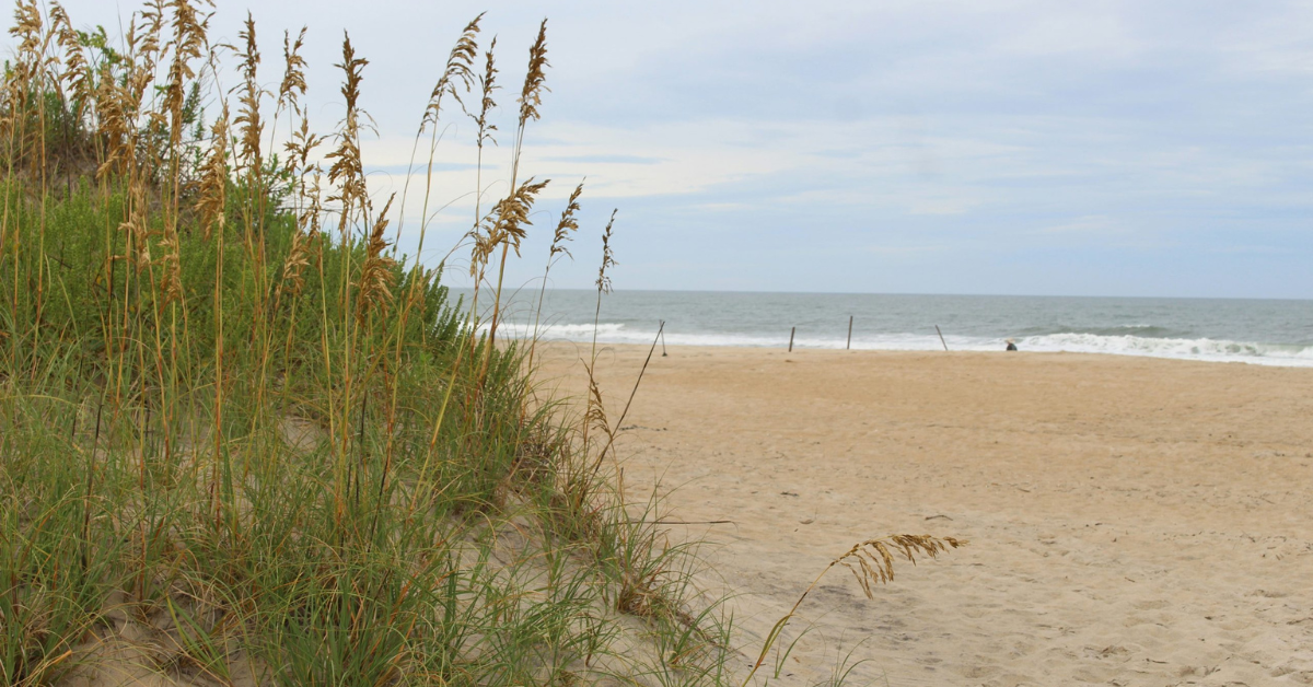 North Carolina’s 13 Best Beaches: Plan Your Next Coastal Vacation