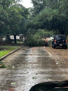 A downed tree blocks a Houston road after a hurricane