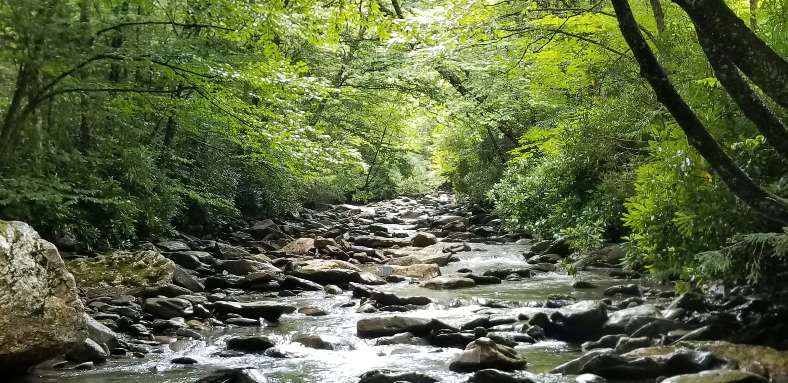 North Carolina River in the Montains